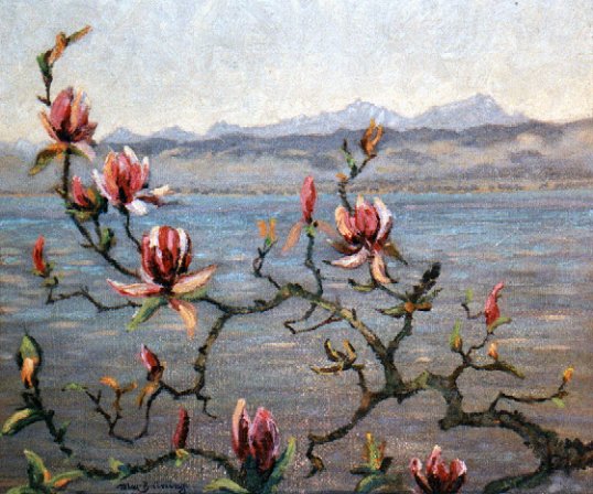 Magnolien am Bodensee, um 1950